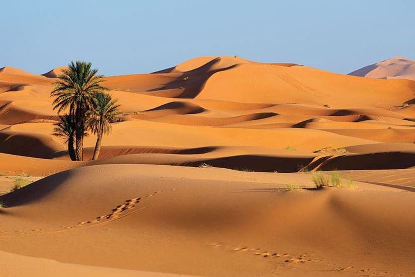 désert marocain